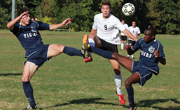 Warriors and Tigers Battle to Tie