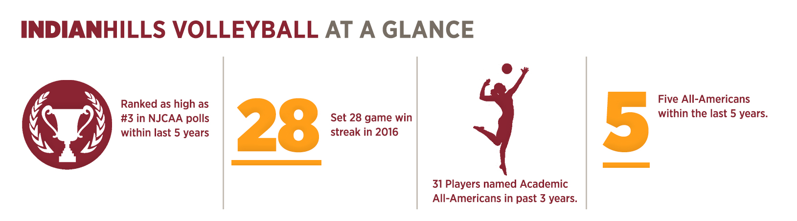 volleyball at a glance