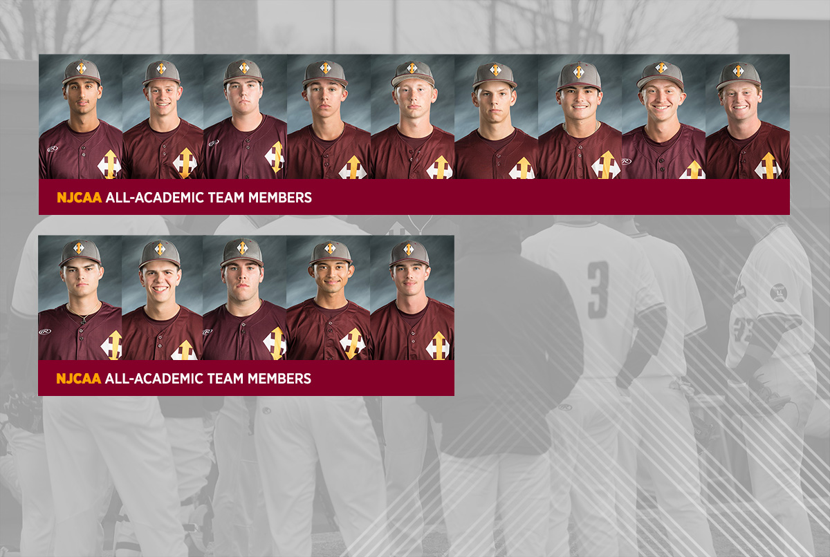 Falcons Earn All-Academic Team Distinction