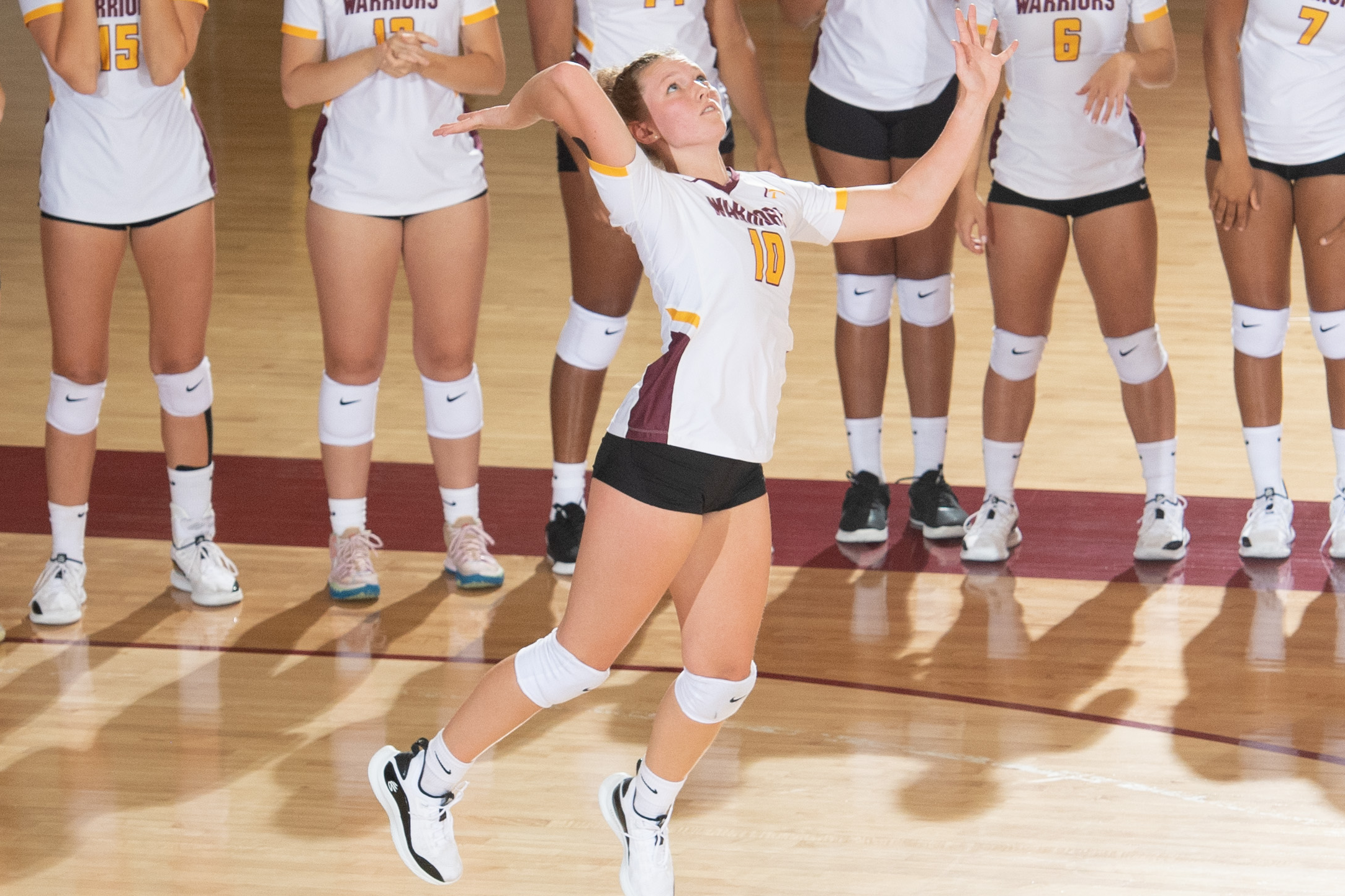 SCHACHLE'S CAREER-NIGHT CARRIES WARRIORS